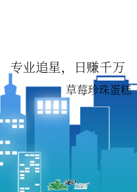 专业追星,日赚千万