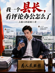 我一个县长，看评论办公怎么了
