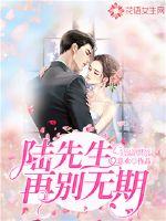 陆先生,再别无期